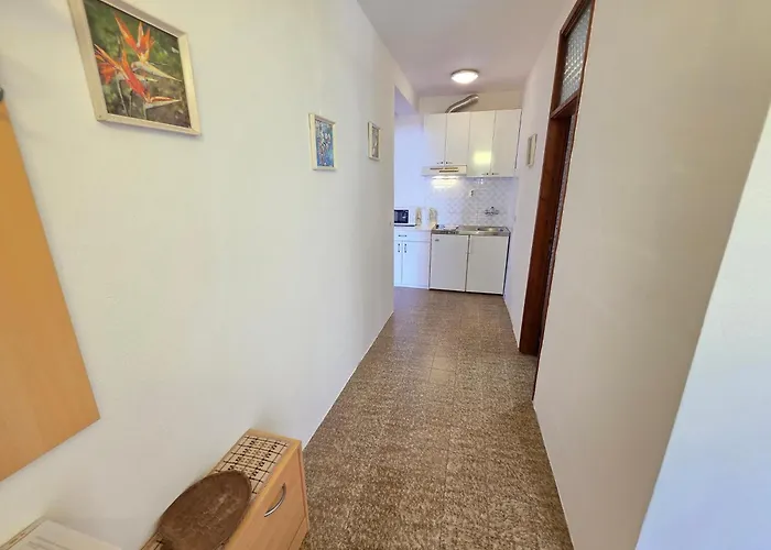 Dobrila Nv With Terrace And Sea View Novi Vinodolski